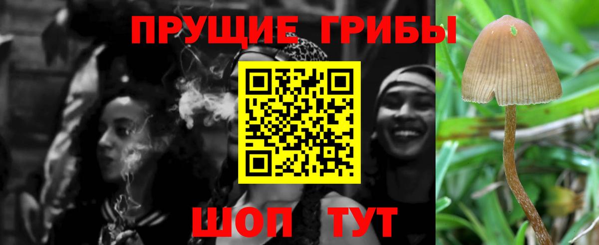 Озёры  Псилоцибиновые грибы мухоморы  Вход с VPN 
